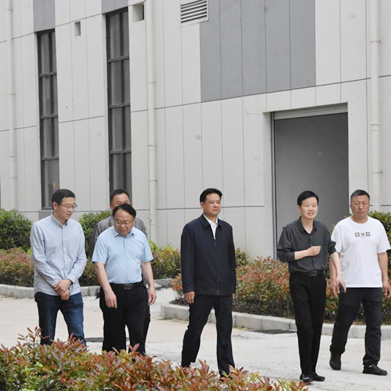 Wang Shifu, Director of the Huainan Municipal Health Commission, And Others Visited Anhui Huayuan Traditional Chinese Medicine Technology Co., Ltd. For Research