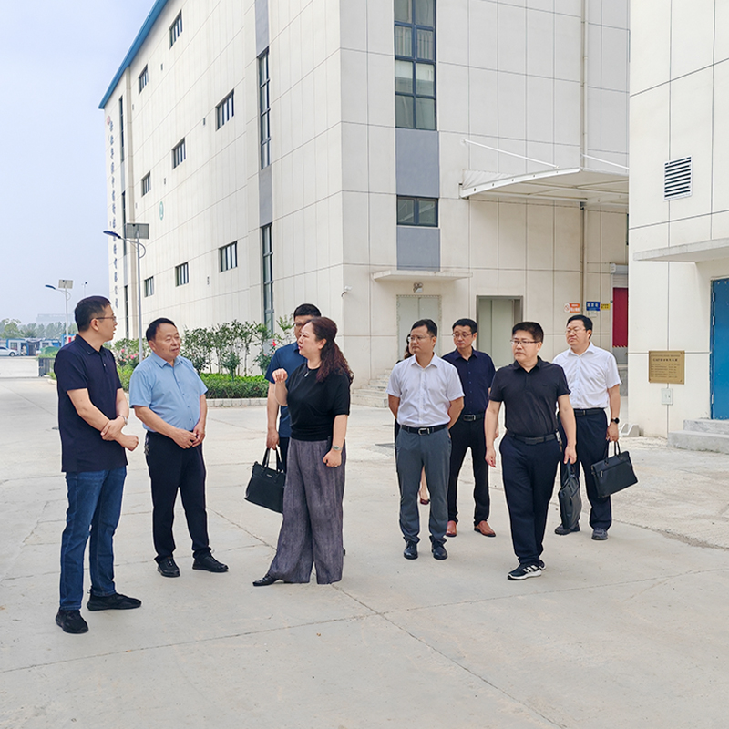 County Mayor Sun Qizhi Visits Chinese Medicine Technology Companies